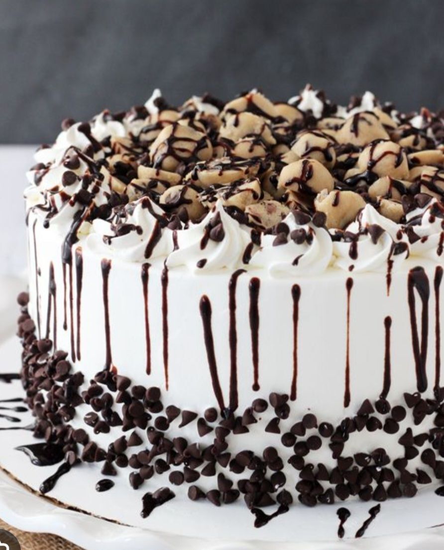 Chocolate cake dessert